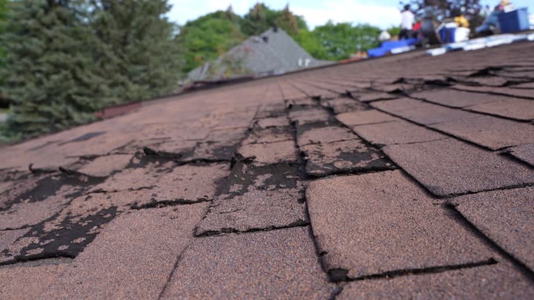 Best Hot Roofs  in La Vernia, TX