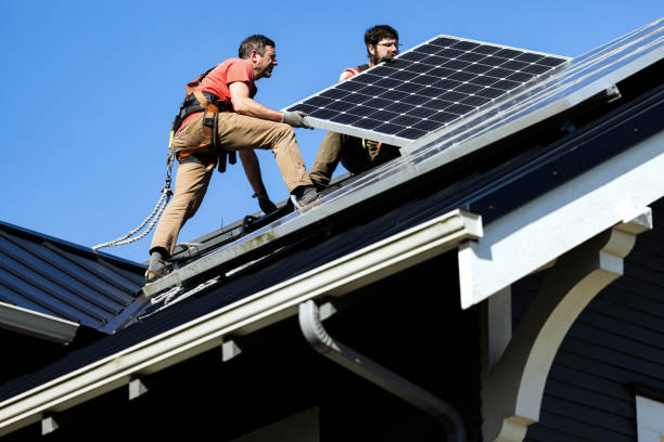Best Solar Panel Roofing Installation  in La Vernia, TX